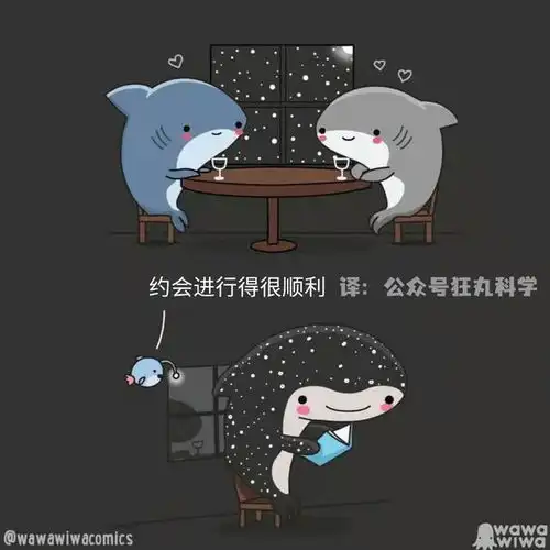  小鲨鱼和朋友们的温馨日常,海洋主题治愈漫画集