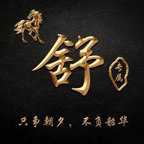  姓氏头像,微信头像,3d金属质感十二生肖签名头像,有你的吗