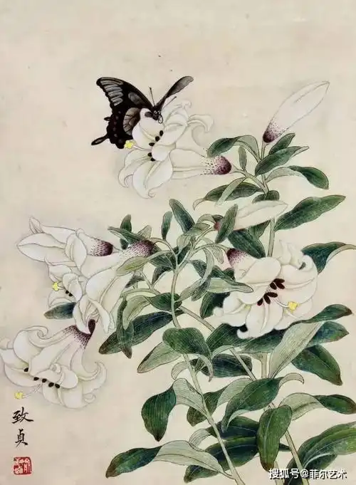  工笔百合花,清新脱俗