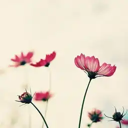  创意好听的企业管理咨询公司名字