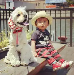 女生头像萌宠小狗宠物