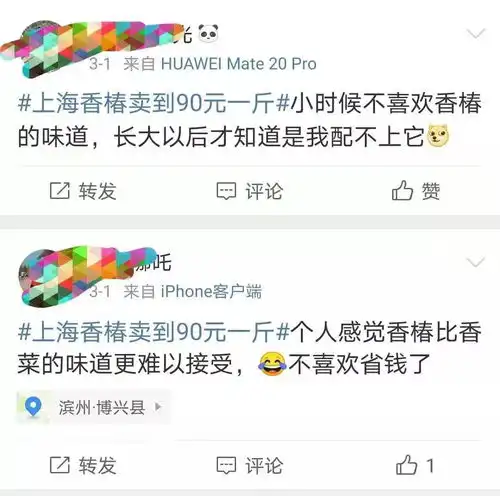  10块钱一两中国哪儿的香椿最好吃