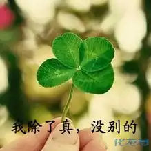  有话直说,才是真性情对人真诚,才是真感情