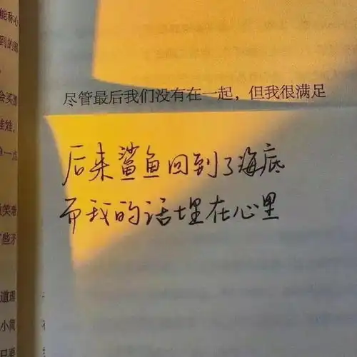  头像背景丨得失参半荣枯与否