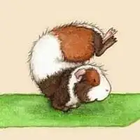 72年属鼠幸运微信头像