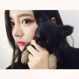  女生头像萌宠白边