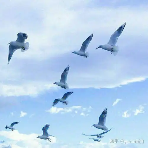  春节期间你打算在家里读什么书