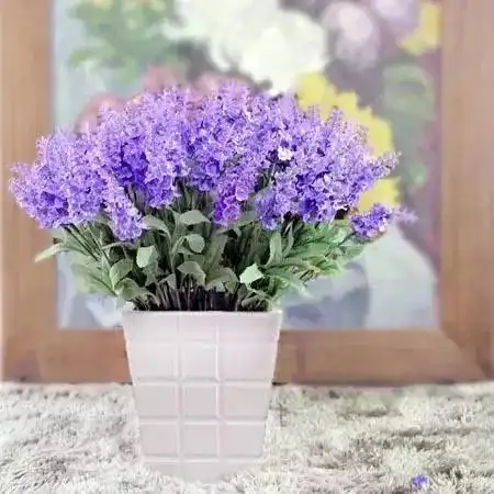  3种紫花好养又美丽,阳台摆几盆,花朵砰砰开成球,惊艳极了