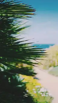  壁纸高清唯美意境鲜花植物黑白的世界里谁记得我的存在