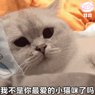  猫咪不会老虎吼,那老虎会喵喵叫吗