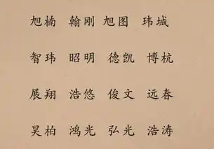  才华横溢的男孩名字,好名带来好运气