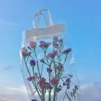  茶头像图片大全微信头像图片大全