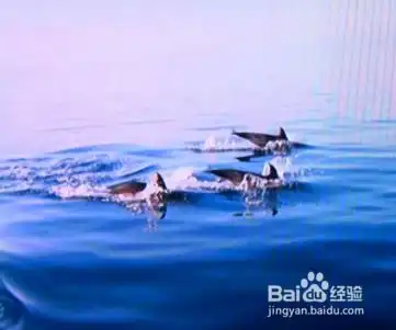  水命的人应知道的一些知识