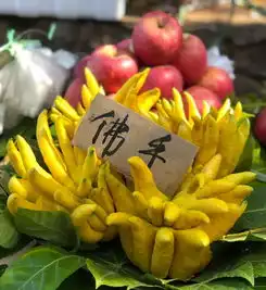  几个关于佛手的奇葩吃法,心情好的人不用吃