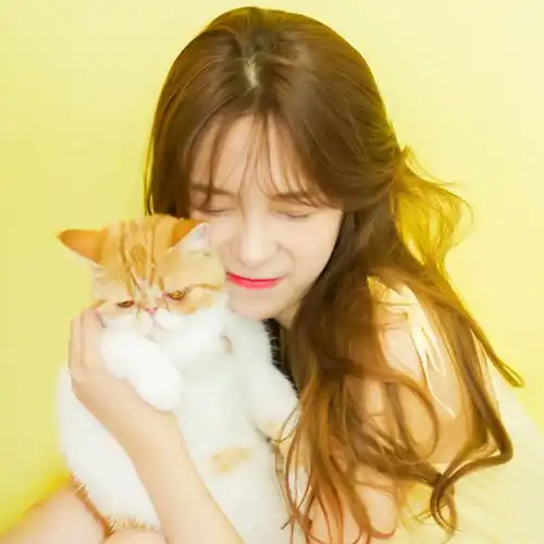  抱只软猫