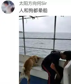  哈哈哈哈,2018最好笑图片来了