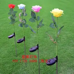 2019新版微信头像花朵花