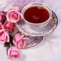  人生如茶相关的微信头像微信头像图片大全