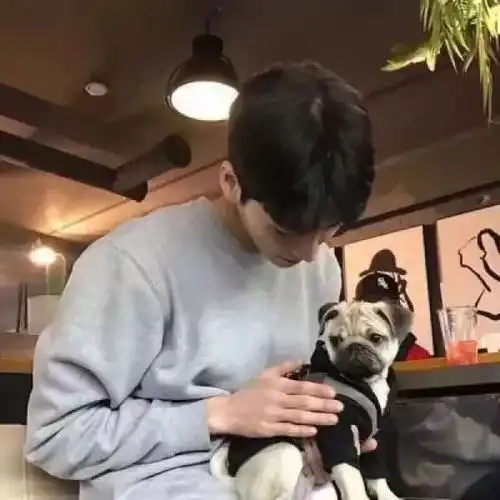  男生头像谎言说给耳朵听,却让眼睛动了情