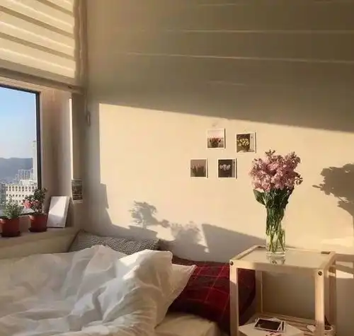  壁纸头像背景图透过百叶窗的光与花构成的空间