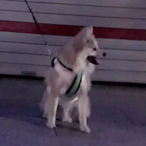 闺蜜头像两人一人一张动