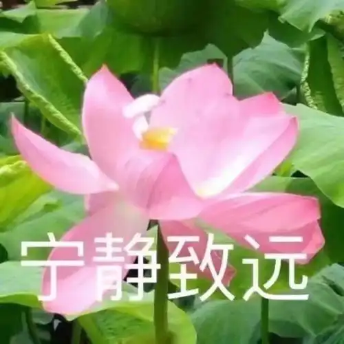  我要是舒淇,也把你们屏蔽了