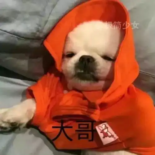  本月抖音最火的十大情侣头像