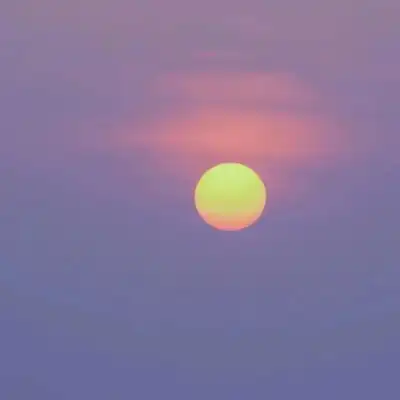  林知意紫色背景治愈给生活添加风景静物头像我要个性网