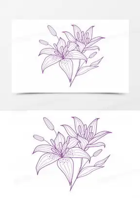  百合花图像微信头像大全