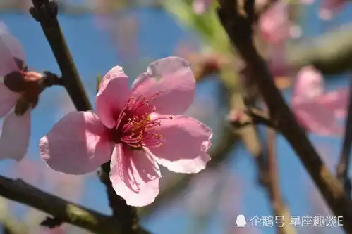  在8月上旬,真爱降临,坚定内心,不再放手的三大星座
