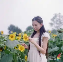  代码女神爆红网络学拍清新脱俗少女人像