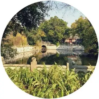  威利斯人娱乐手机app