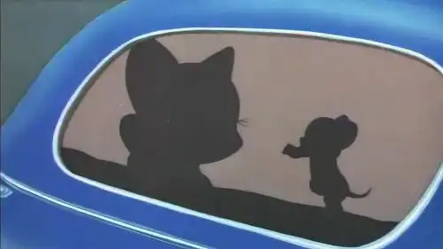  流浪猫和汤姆看到美女猫和杰瑞坐着车走了