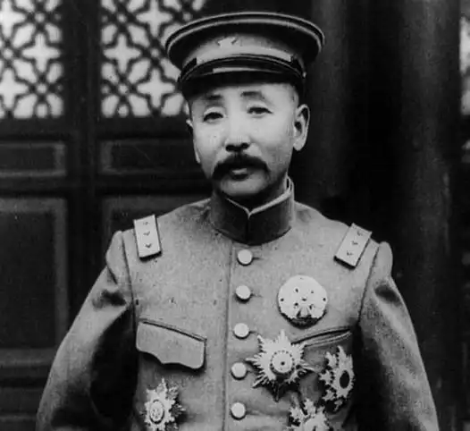 从老疙瘩到乡村兽医,再到东北王,张作霖到底经历了什么