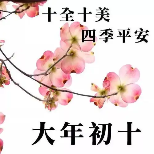  美图珍字,正月初十,春风拂面,温柔如丝兔年追梦,快步奔驰惜春快乐事事如意网易订阅