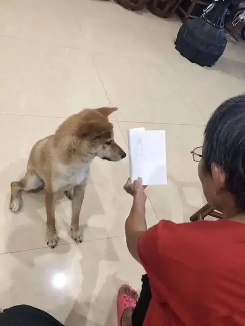  闺蜜叫我打扮火辣点,给我介绍男朋友,结果哈哈哈哈哈万万没想到
