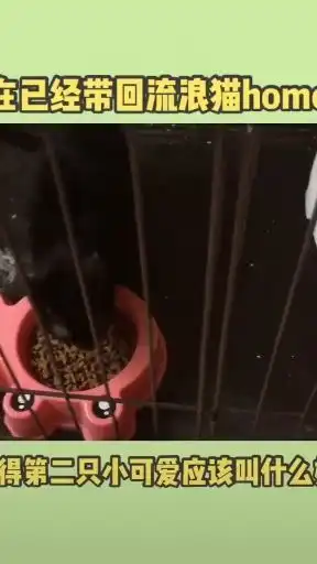  你最喜欢抖音里哪个网红为什么