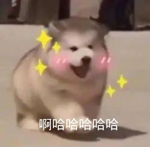  粉底液小样,美瞳,高光