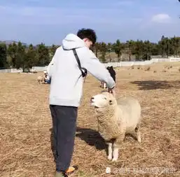  男人变心后,才会莫名其妙的出现这3个动作,别装傻不承认了