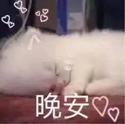  女生专用招桃花表情包