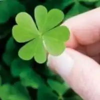  成都人带你切耍