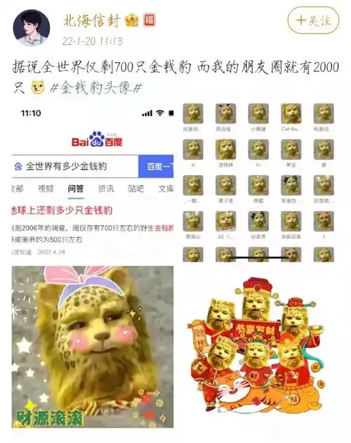  换上最火的金钱豹头像,我还是没有一夜暴富啊