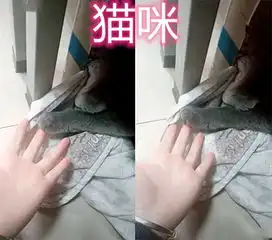  最近秀肤色刮妖风,情侣ok,闺蜜ok,看到它这谁顶得住