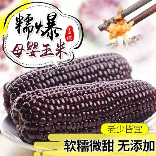  mini小黑糯玉米棒180g儿童母婴新鲜小黑甜糯黑玉米粒营养早餐粗粮