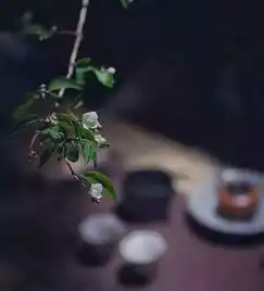  茶席景无情不发,情无景不生