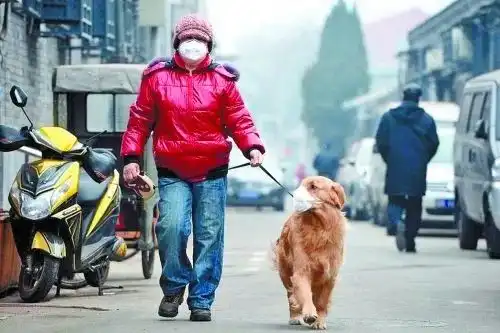  盐城人速看口罩这么戴,12分全扣光