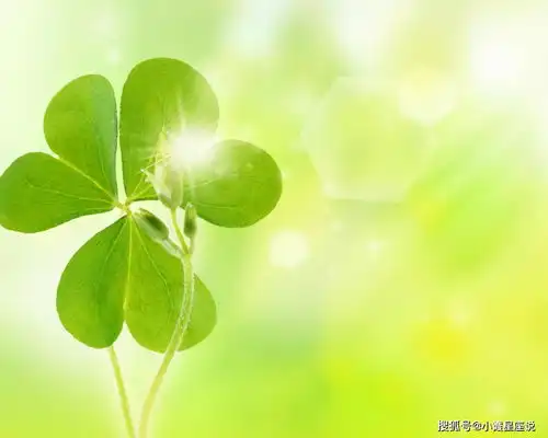 幸运草头像四叶草乔金斯