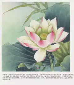  画画丨一起学习清新脱俗工笔荷花