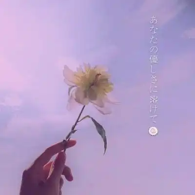 简单的头像清新脱俗木羽