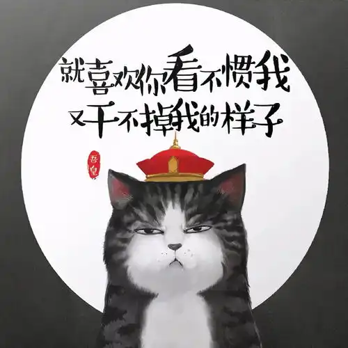  领克x吾皇相携,有猫哦,快来看看